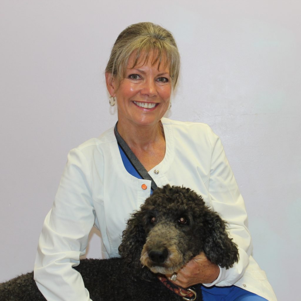 Dr. Deam Veterinarians Manhattan and Junction City