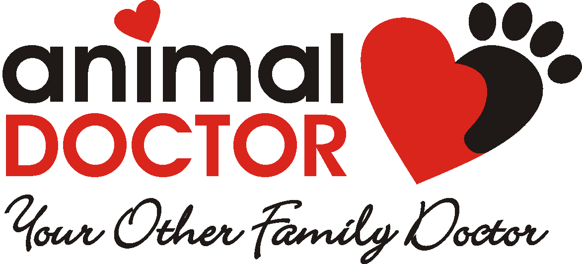 Animal Doctor Allergy Consults