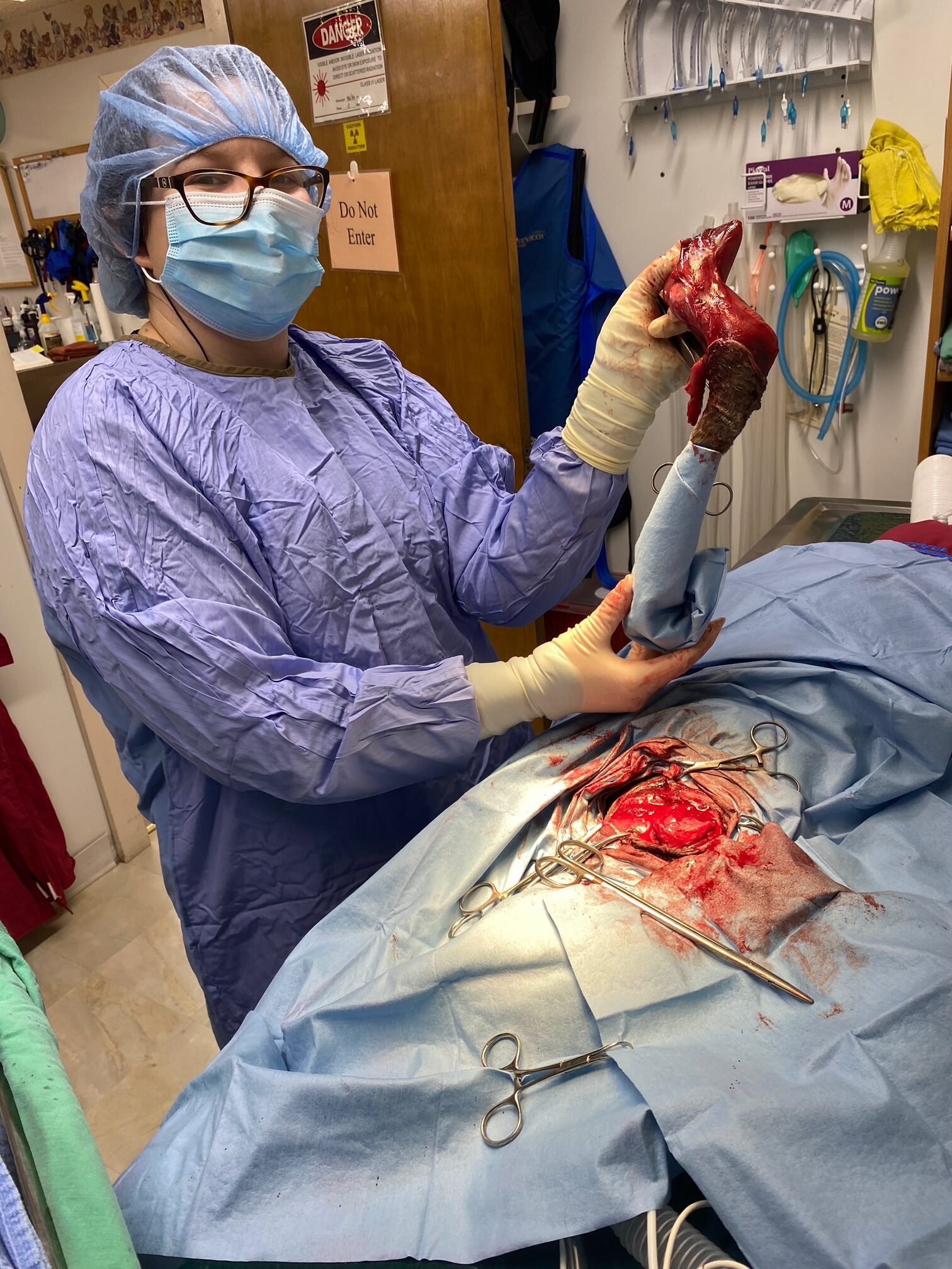 Animal Doctor Amputation Surgery