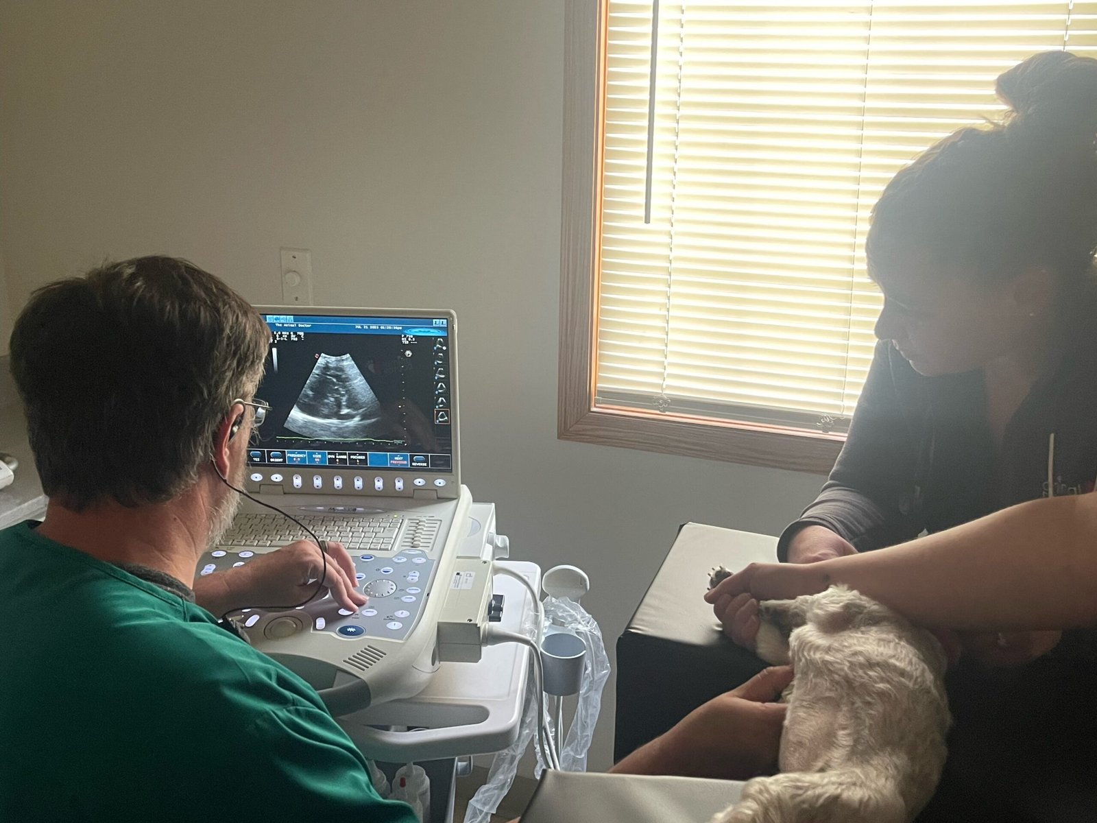 Animal Doctor Cardiology