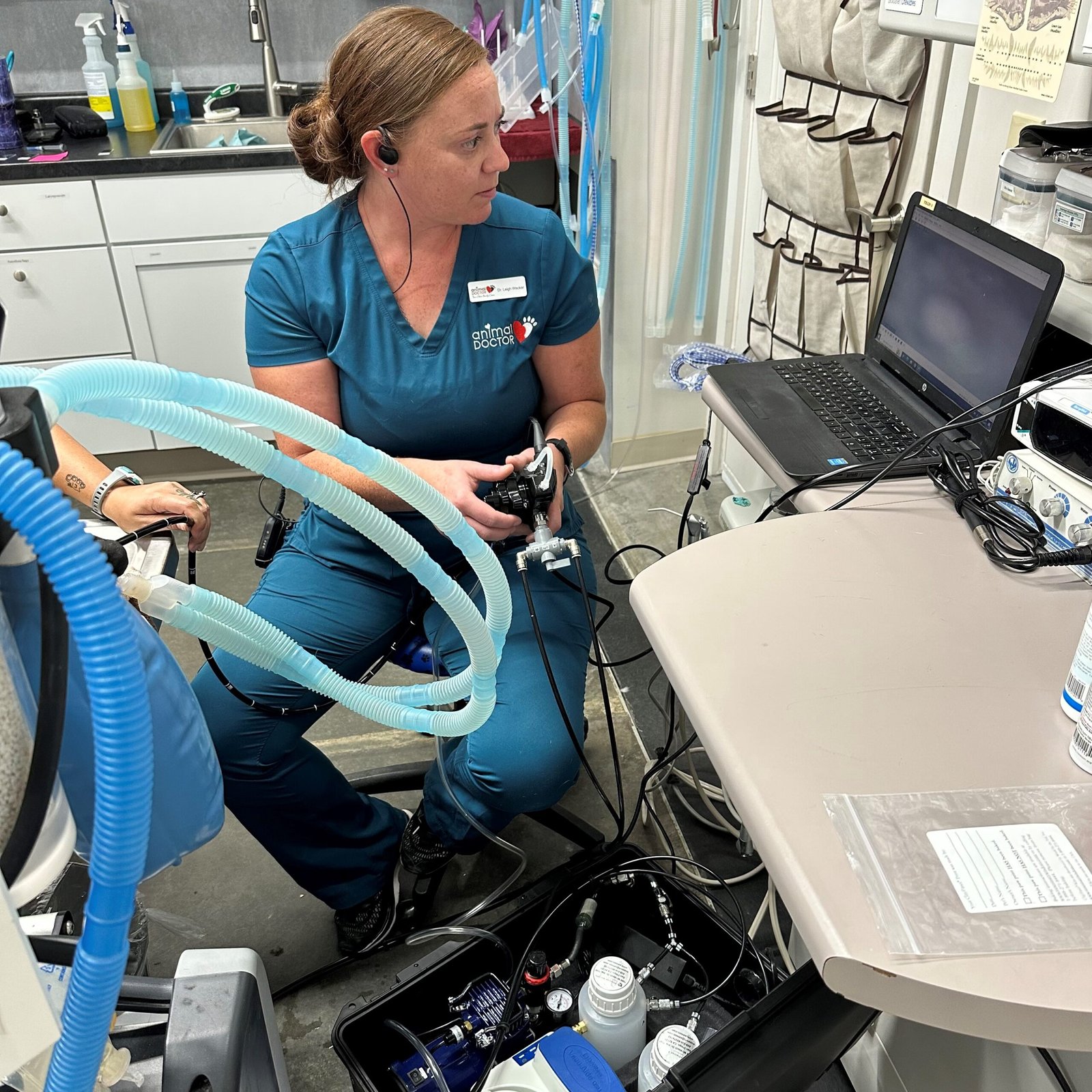 Animal Doctor Endoscopy
