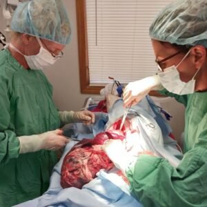 Animal Doctor