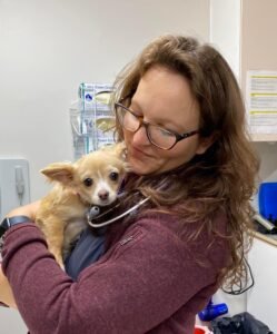 Animal Doctor