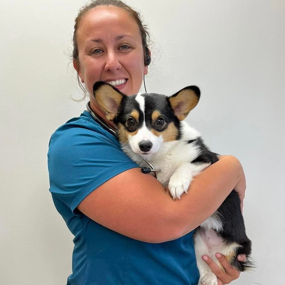 Spaying/Neutering Dogs and Cats