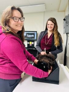 Animal Doctor Diagnostics