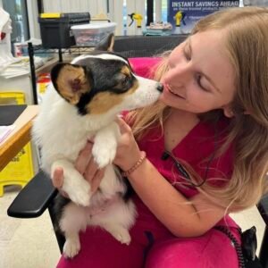 Animal Doctor Spay