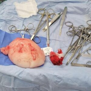 Animal Doctor Biopsy and Histopathology