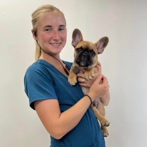 Animal Doctor Nostril Reconstruction