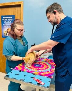 Animal Doctor Wellness Care
